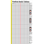 Postür Analiz Tablosu